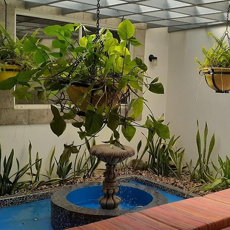 Hotel El Almendro ماناجوا المظهر الخارجي الصورة